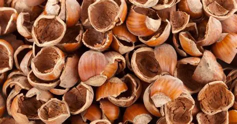 Advantages of Utilizing Peat and Hazelnut Shells for Making Briquettes