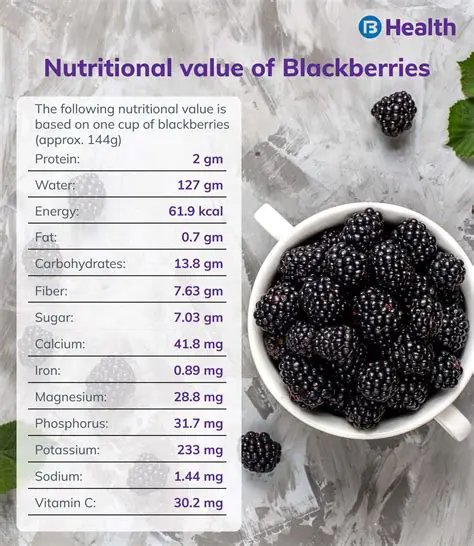 Benefits of Mobifilter for BlackBerry