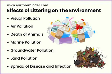 Benefits of the Litter Feature
