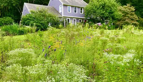 Calculating the Area of the Meadow