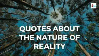Commenting on the nature of reality