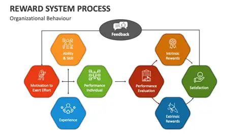Continuously Evaluate and Perfect the Reward System