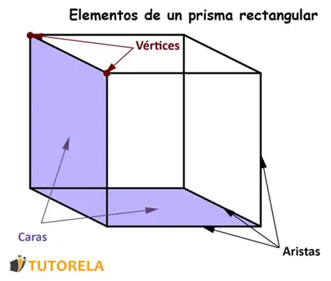 Dibuja la cara lateral del prisma rectangular