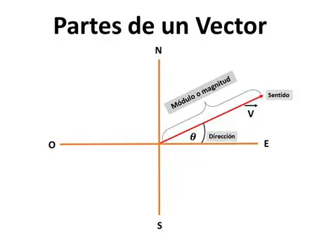 Dibujo de Vectores al Norte