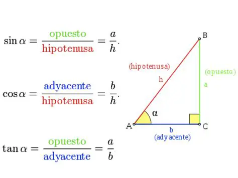 Ejemplo de Cateto Adyacente
