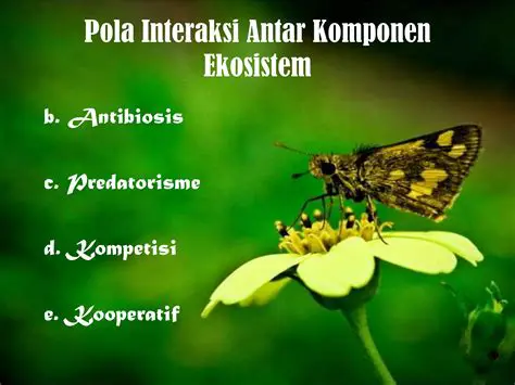 Ekosistem yang Dapat Berperan Menjaga Abrasi Air Laut