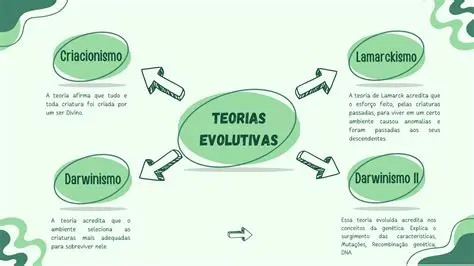 Entendam os conceitos e teorias