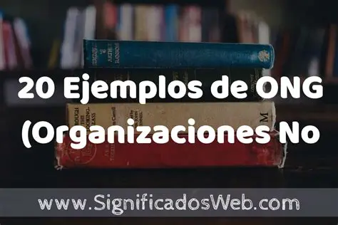 Entidades no gubernamentales