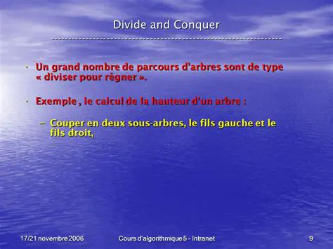 Exemple de Armerelor Divide cu Caz