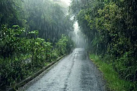 Exemplos de chuva e neve em diferentes partes do mundo