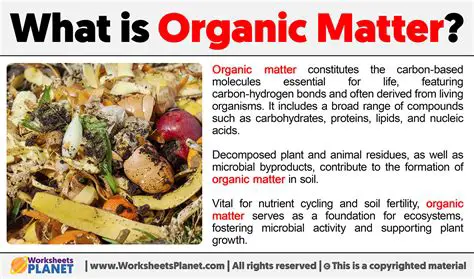 Exploring Different Types of Organic Matter