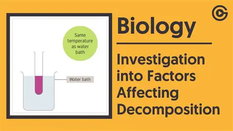Factors Influencing the Decomposition Reaction