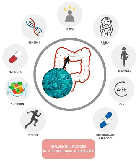 Factors that Affect the Level of Infection