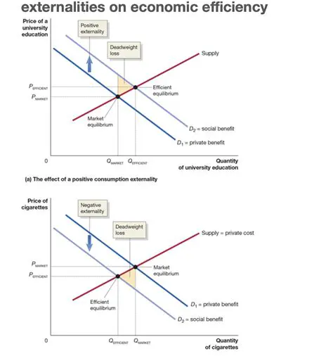 Failing to account for externalities