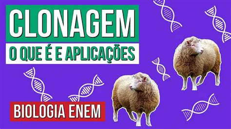 Fatores que Influenciam a Clonagem de Personalidade