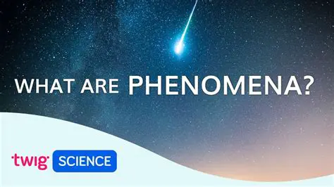 Features and Phenomena Observed in the Image