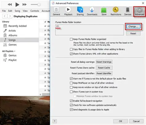 Features of Automatic Duplicate MP3 Removers