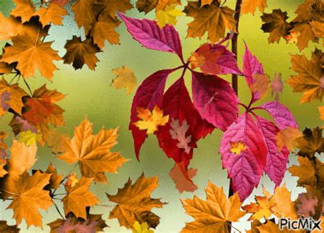 Features of Autumn Leaf Fall Animated Wallpaper
