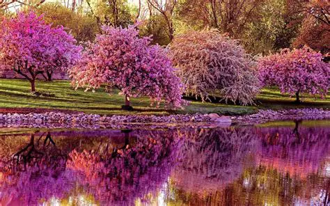 Features of Our Free Spring Screensaver