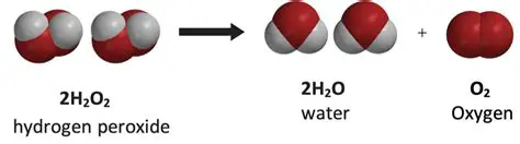 Hydrogen Peroxide Decomposition