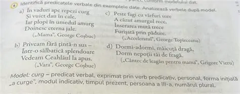 Identificarea Predicatele Verbale