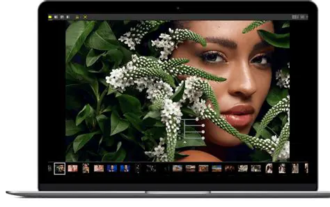 Image Viewing and Processing
