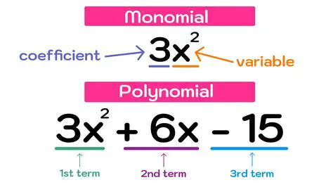 Importance of Factoring Out a Common Term