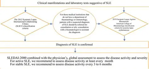 Improvement of SLE patient data recording