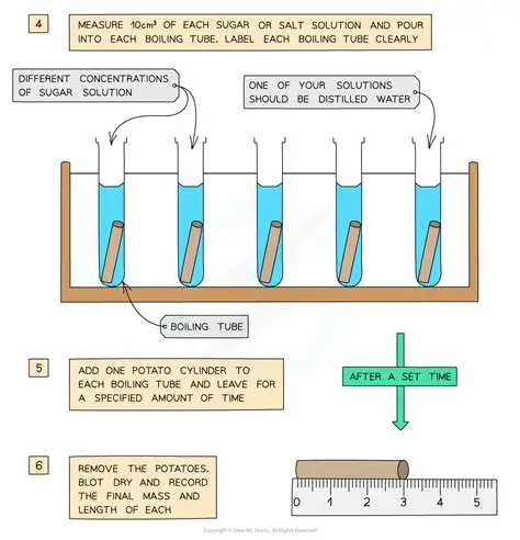 Investigate the effect of different doping concentrations