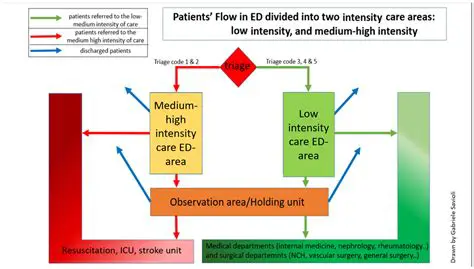 Investigating the impact of triase on patient outcomes