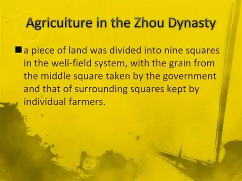 Irrigation and Agriculture in the Zhou Dynasty