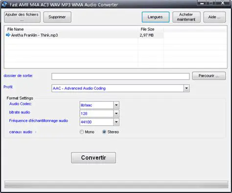 Key Features of Amber Fast Audio Converter