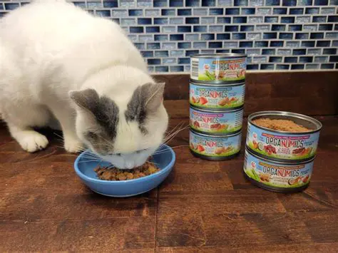 Key Features of Catfood Follower