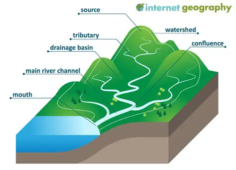 Key Features of CERCHA MILENIO