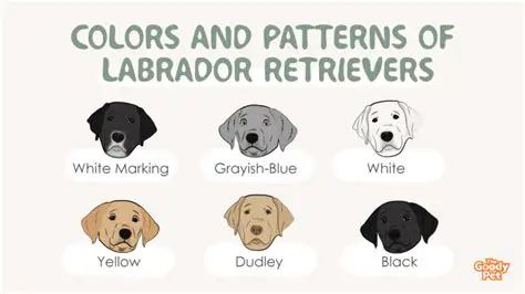 Key Features of Image Retriever