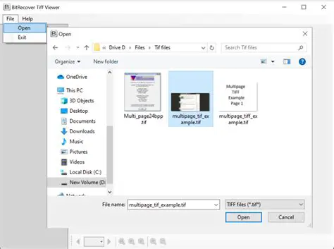 Key Features of SDR Free Tiff Viewer