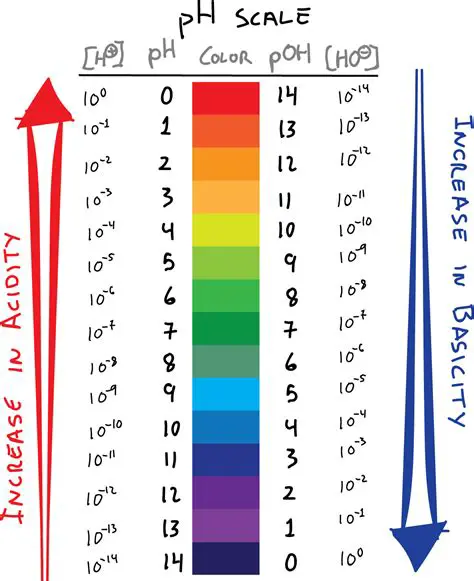 Mathematical Representation of pH