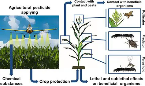 Monitoring pesticide residues in rice plants
