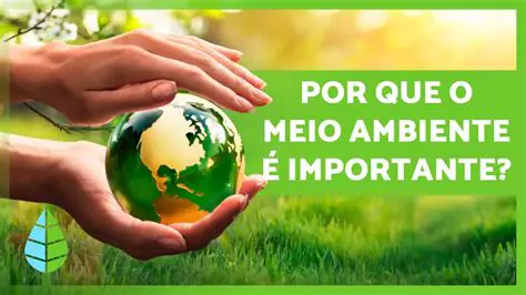 Norma de Respeito ao Meio Ambiente
