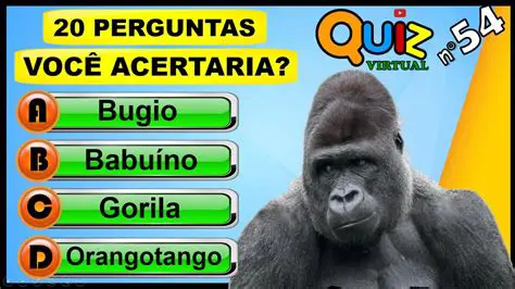 Perguntas e Respostas sobre Negrito