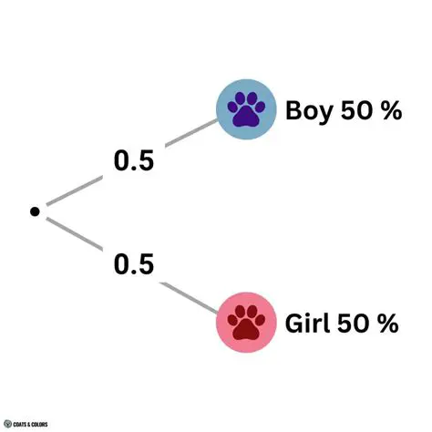 Probability of a Male Puppy