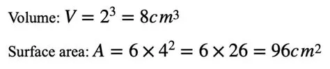 Relationship Between Surface Area and Volume