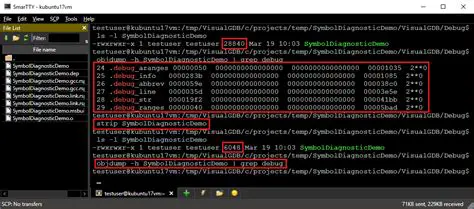 Removing Debug Information