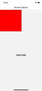 Screen Capture Functionality