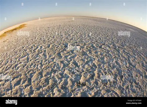 Shallow lakes and salt pans