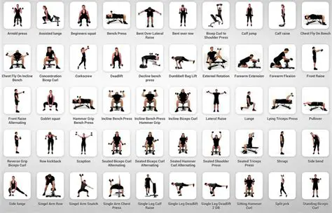 Strengthen and tone the muscles