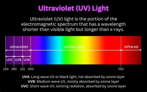 The Amount of UV Light Required to Make Fluorophores Glow