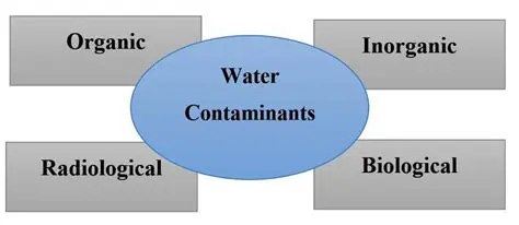 The Consequences of Water Contamination
