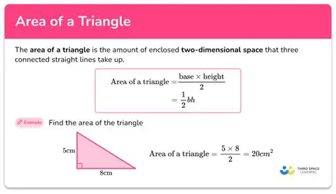 The Correct Formula for Triangle Area Calculation