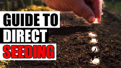 The Direct Seed Planting System